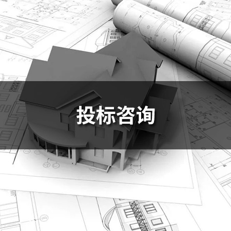 投標(biāo)咨詢(xún)