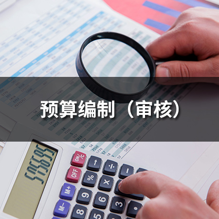 預(yù)算編制（審核）